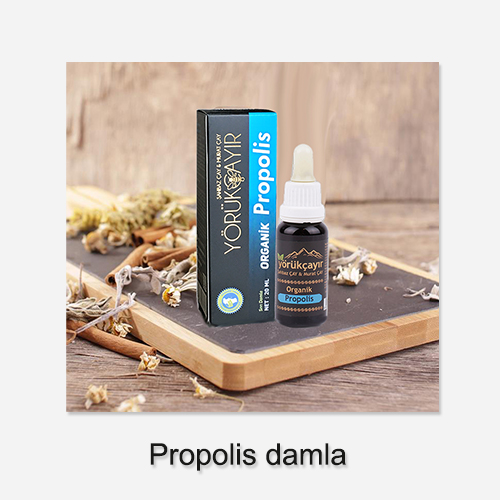 Propolis damla